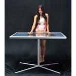 Evo multitouch table